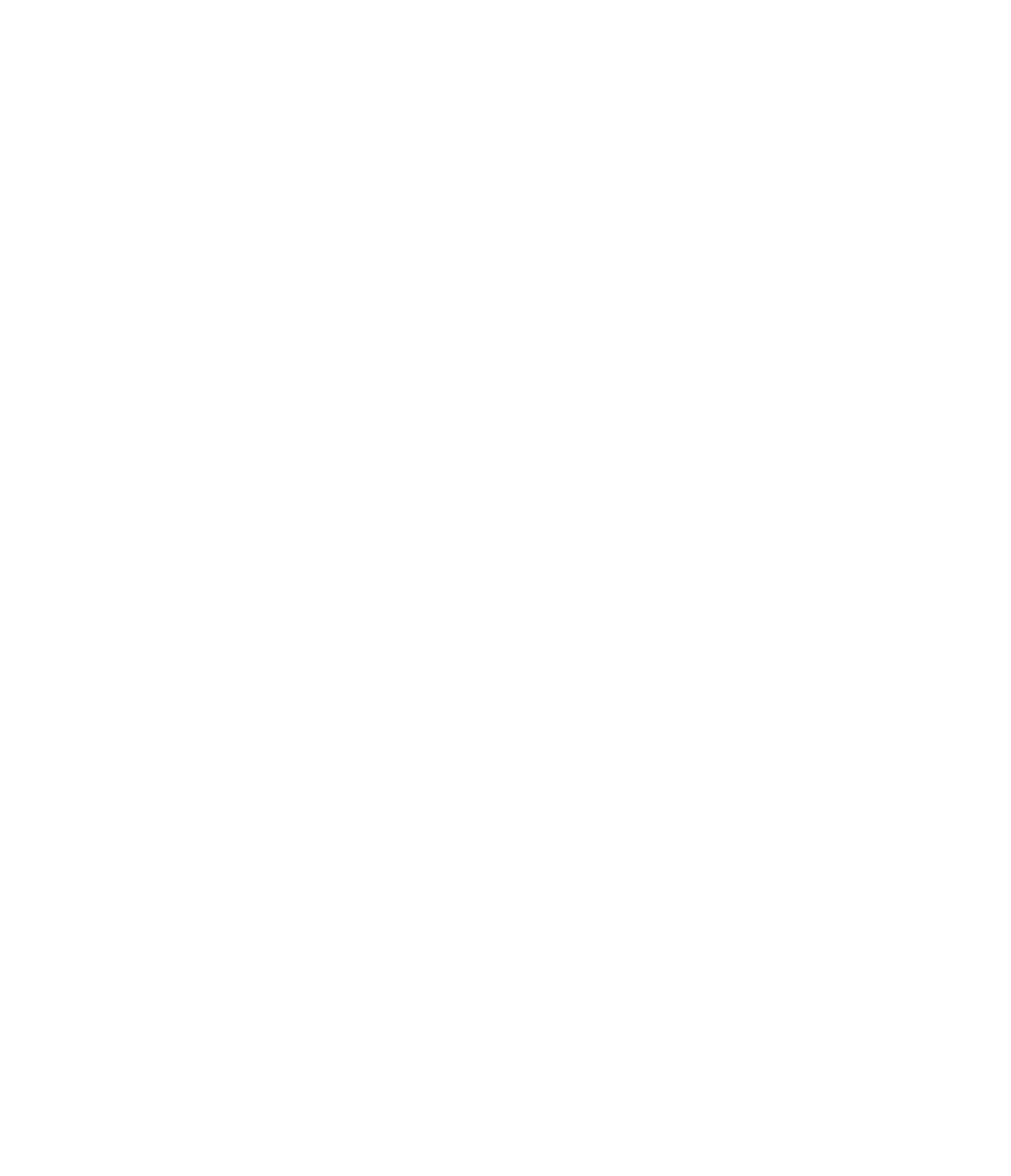 Ayoola Oluwatosin White logo